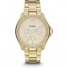 montre femme fossile am4482