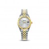 altanus icon woman watch 16127BZC-1