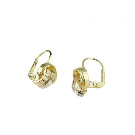 Fancy earrings with leverback hook 02021GBR