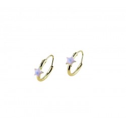 Circles earrings with enameled star O2346G