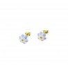 Boucles d'oreilles fleur O2298G