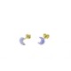 Half moon earrings with enamel O2308G