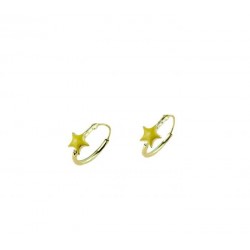 Circles earrings with enameled star O2352G